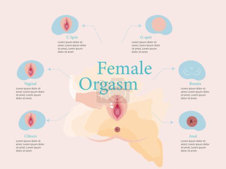 Female orgasm is a complex process that involves multiple stages and physiological changes. A diagram of the female reproductive system, highlighting the different parts and their functions