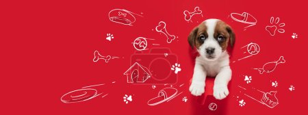 Photo for Little cute puppy dreaming about toys, bones, food, and new house. Collage with drawings, doodles. Concept of animal, art, creativity. Creative design for greeting card, ad poster. Banner - Royalty Free Image