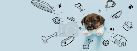 Téléchargez les photos : Little cute puppy dreaming about toys, bones, food, and new house. Collage with drawings, doodles. Concept of animal, art, creativity. Creative design for greeting card, ad poster. Banner - en image libre de droit