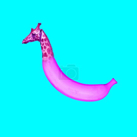 Photo for Contemporay art collage. Funcky giraffe turns into banana in pink color scheme against vivid blue background. Tropical fruits and animals. Concept of modern food, health. - Royalty Free Image