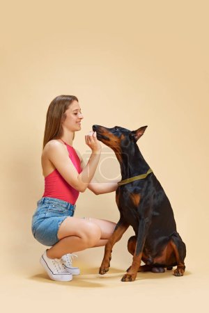 Girl in bright pink top and denim shorts crouches to feed treat to her Doberman against beige studio background. Concept of animals and their owners, friendship, pets care, canine food. Ad