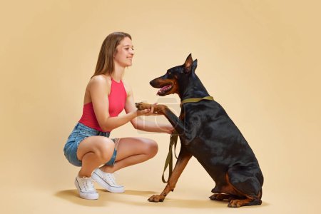 Young woman dressed in casual summer attire interacts with her Doberman, training him to give paw against beige studio background. Concept of animals and their owners, friendship, pets care. Ad