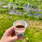 cup of coffee drinking on the plot, plastic cup, coffee in a plastic pot, relaxing on the plot with coffee