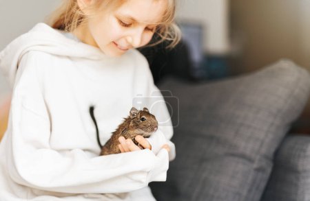 Téléchargez les photos : Jeune fille jouant avec mignon écureuil degu chilien. Mignon animal assis sur la main de l'enfant - en image libre de droit