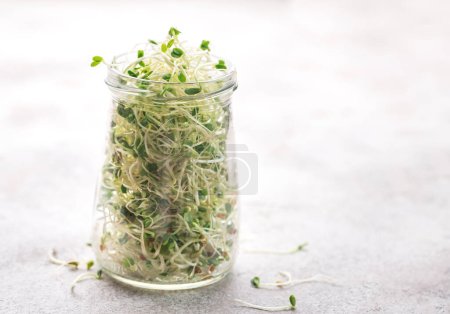 Foto de Microgreens cultivados en un frasco. Alimentación saludable - Imagen libre de derechos