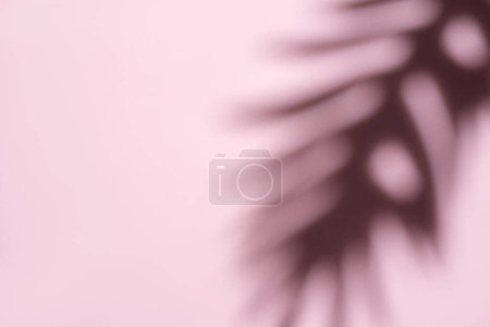 This image captures a dreamy, abstract pattern formed by the blurred movement of palm fronds in a gentle, diffused light.