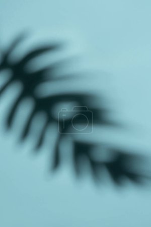 This image captures the delicate shadow of a tropical leaf projected onto a smooth, light blue surface with a soft-focus effect creating an abstract aesthetic.