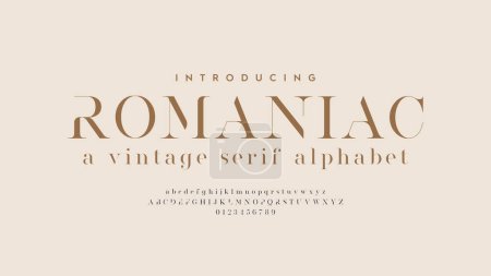 Illustration for Vintage design typography. Stylish typeface for book cover, card, poster, invitation, and more. Alphabet a to z - Royalty Free Image