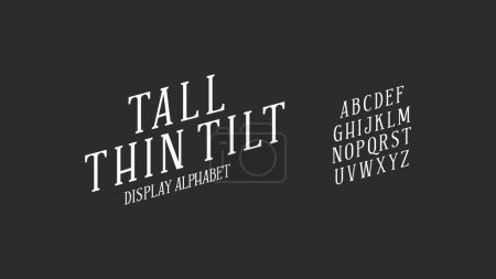 Illustration for Typography alphabet design. Italic stylish typeface set a to z. Vector illustration. - Royalty Free Image