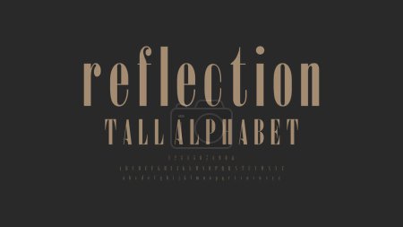 Illustration for Elegant awesome alphabet letters font and number. Typography thin serif fonts regular uppercase. vector illustration - Royalty Free Image