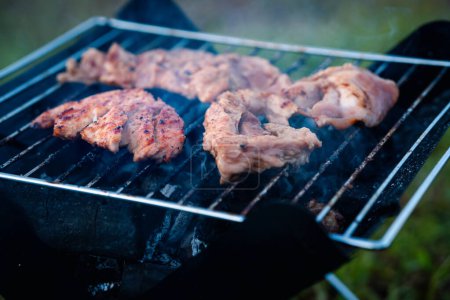 Téléchargez les photos : Rôti de porc, sur la cuisinière en fer, vue sur le dessus - en image libre de droit