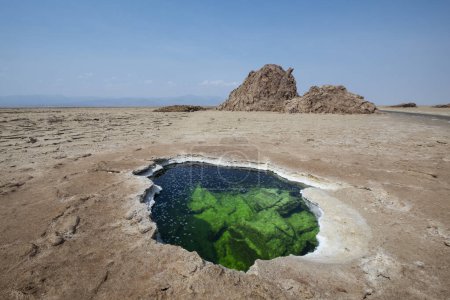 Photo for Plain of salt with salty pond and salt rocks ,Danakil Depression in Ethiopia, Africa. - Royalty Free Image