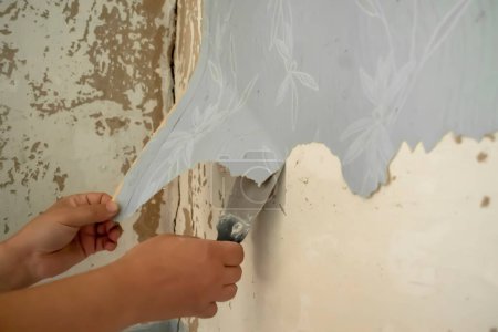 Cleaning old wallpaper. Old wallpaper is removed from the wall with a spatula. The man's hands tear off the wallpaper from the wall.
