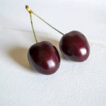 Two cherries with a common tail on a white background. close-up of dark cherries on a white background.
