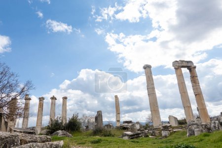 Photo for Aphrodisias, Turkey is a stunning and well-preserved archaeological site that features an impressive collection of ancient buildings and artwork. Visitors can explore the remarkably preserved structures, including the impressive Stadium, the Temple o - Royalty Free Image