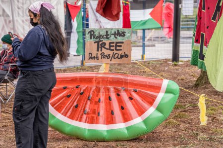 Téléchargez les photos : Les étudiants de l'Université de Toronto occupent le campus avec un campement pro-palestinien, reflétant les mouvements mondiaux pour les droits des Palestiniens, tout en érigeant des barrières qui excluent les opinions dissidentes, intensifiant la polarisation du campus. - en image libre de droit