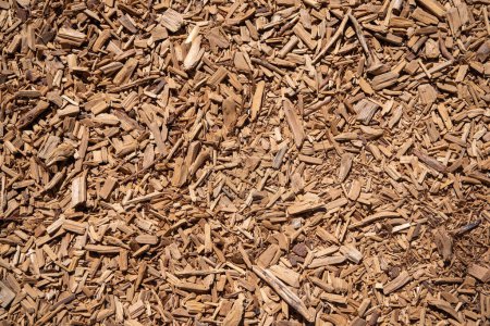 Photo for Wood chips as background or texture. High quality photo - Royalty Free Image