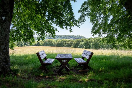 Photo for Bench with a country view under a tree. High quality photo - Royalty Free Image