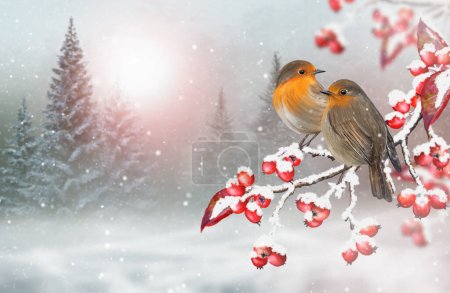 Foto de Navidad, fondo de vacaciones de invierno de Año Nuevo, dos pájaros se sientan en una rama de árbol con bayas rojas, caídas de nieve, ventisca, bosque nevado, ventisqueros, iluminación nocturna, representación 3d - Imagen libre de derechos