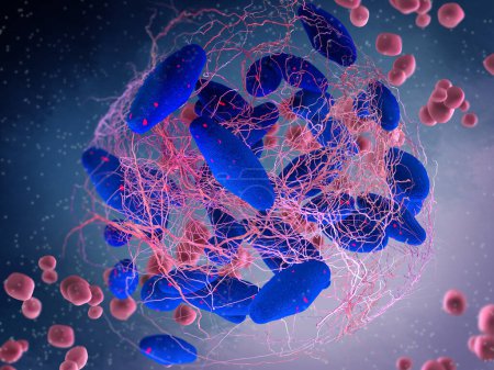 Medizinischer Hintergrund, Escherichia coli, gramnegative stabförmige Bakterien, Serotyp O157: H7, verursacht schwere Lebensmittelvergiftung, 3D-Darstellung