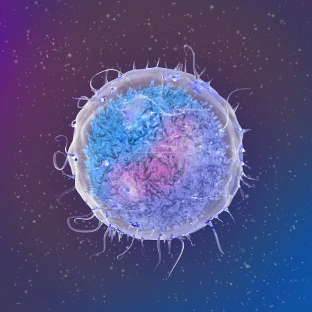Foto de Antecedentes de la ciencia médica, Linfocitos, células del sistema inmunitario, una variedad de leucocitos del grupo de agranulocitos, células sanguíneas, 3d rendering - Imagen libre de derechos