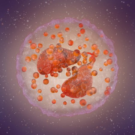 Téléchargez les photos : Eosinophiles, un type de leucocyte dont la fonction principale est de lutter contre les parasites multicellulaires, la composition sanguine, le rendu 3d - en image libre de droit