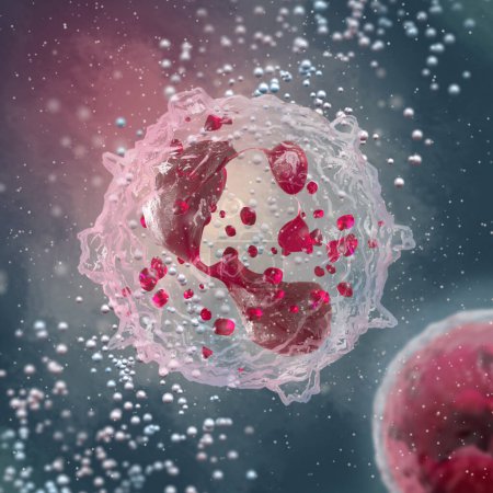 Foto de Antecedentes de la ciencia médica, Eosinófilos, un tipo de leucocito cuya función principal es luchar contra los parásitos multicelulares, composición de la sangre, representación 3d - Imagen libre de derechos
