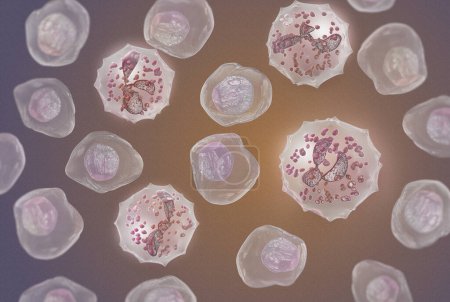 Foto de Medical science background, Neutrophil cell (leukocyte) segmented neutrophil in blood smear, 3d rendering - Imagen libre de derechos