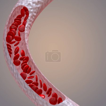 Téléchargez les photos : Medical background, erythrocyte blood flow red blood cells in a living organism, 3d rendering - en image libre de droit
