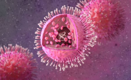 Téléchargez les photos : Contexte médical, virus herpès simplex de type un, famille d'herpèsvirus qui provoque l'herpès buccal chez l'homme, diagramme de structure 3D réaliste, rendu 3D - en image libre de droit
