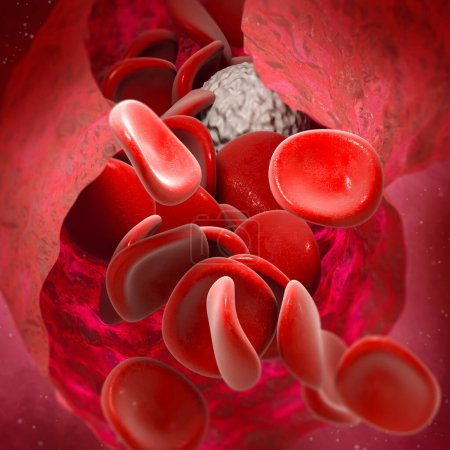 Foto de Medical background, erythrocyte blood flow red blood cells in a living organism, 3d rendering - Imagen libre de derechos