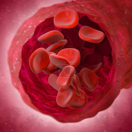 Foto de Medical background, erythrocyte blood flow red blood cells in a living organism, 3d rendering - Imagen libre de derechos