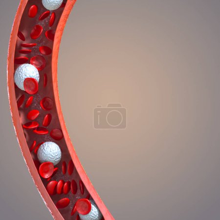 Téléchargez les photos : Medical background, blood flow of erythrocytes red blood cells in a living body, leukocytes, 3d rendering - en image libre de droit
