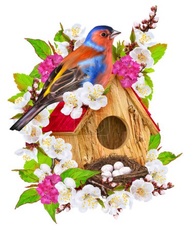 Téléchargez les photos : Fond de Pâques printanier, oiseau lumineux assis près du nichoir, nid avec œufs et abricot blanc en fleurs, isolé, rendu 3d - en image libre de droit