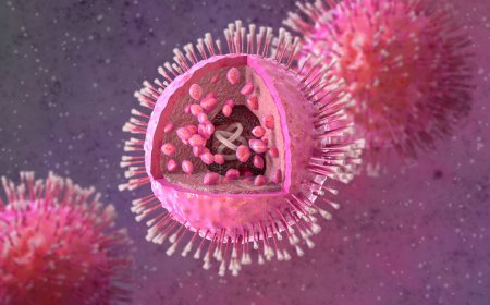 Téléchargez les photos : Contexte médical, virus herpès simplex de type un, famille d'herpèsvirus qui provoque l'herpès buccal chez l'homme, diagramme de structure 3D réaliste, rendu 3D - en image libre de droit