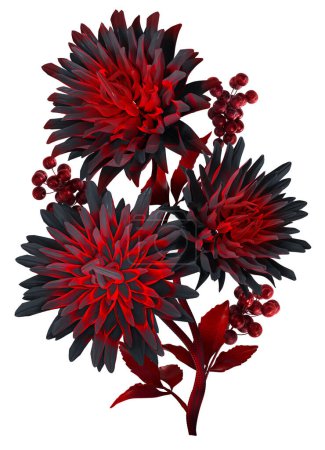 Arreglo floral, flores de crisantemo negro y rojo, remolinos, representación 3d