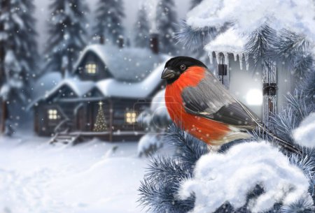 Foto de Año Nuevo, fondo de invierno de Navidad, pájaro toro sentado en una rama de abeto cubierta de nieve cerca de una linterna ardiente, puesta de sol, noche, claro en el bosque con una casa - Imagen libre de derechos