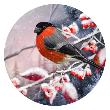 Photo for Winter New Year Christmas background, bullfinch bird sitting on a snow-covered branch against the backdrop of a spruce forest, 3D rendering, round shape - Royalty Free Image