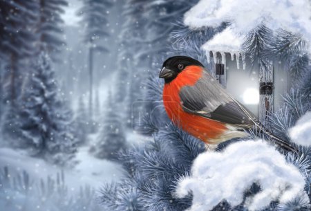 Photo for New Year, Christmas winter background, bullfinch bird sitting on a snow-covered spruce branch near a burning lantern, sunset, evening, clearing in the forest, 3D rendering, no AI - Royalty Free Image