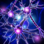 Medical concept background, neuron, nerve cell connected to others, forming nerve networks, 3d rendering