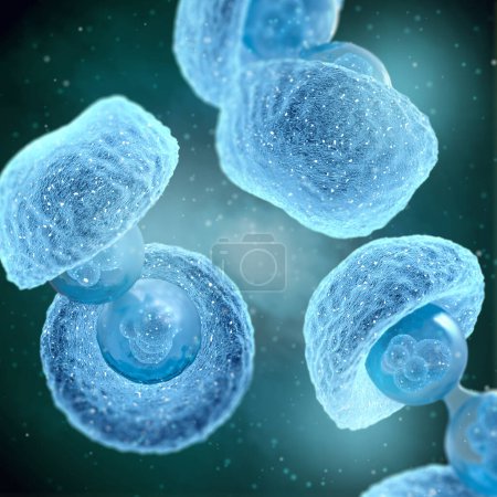 Hintergrund des medizinischen Konzepts, Zellteilung ist der Prozess der Bildung von zwei oder mehr Tochterzellen aus einer Stammzelle, 3D-Rendering