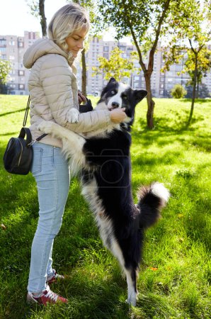 Besitzerin spielt mit sibirischem Laika-Hund im Herbstpark Freundschaft zwischen Hund und Frau