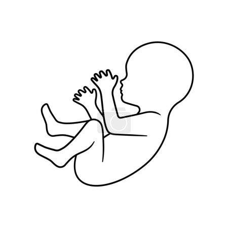 Téléchargez les illustrations : Bébé foetus ligne art. Embryon signe humain. - en licence libre de droit