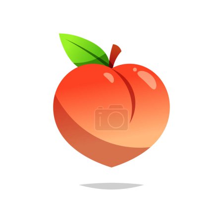 Peach fruit vector isolated on white background