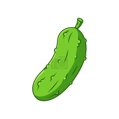 Illustration for Cucumber vector isolated on white background. - Royalty Free Image