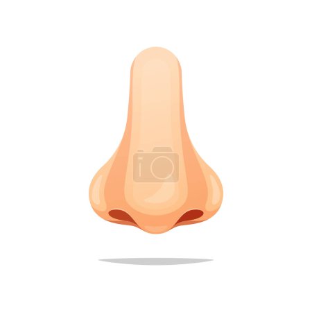 Illustration for Nose vector isolated on white background. - Royalty Free Image