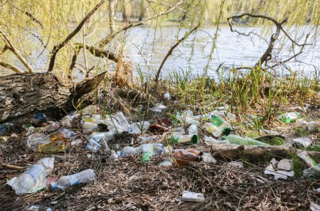 Foto de La basura de plástico en la naturaleza. La contaminación del medio ambiente. Un desastre ecológico. Agua sucia verde. - Imagen libre de derechos
