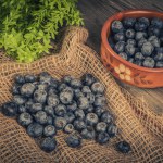 Blueberry fruit, fresh and healthy food
