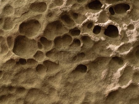 Photo for Natural stone It is shaped like a honeycomb hole. Weathered ancient stone covered in holes. Close up photo of the texture of a mountain rock. Film and grian simulation on processing. - Royalty Free Image