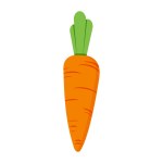 Carrot illustration isolated on white background